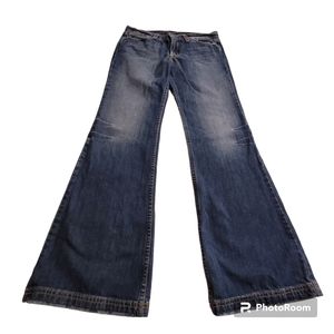 Lucky Brand Dungarees Juniper Flare Size 10/30